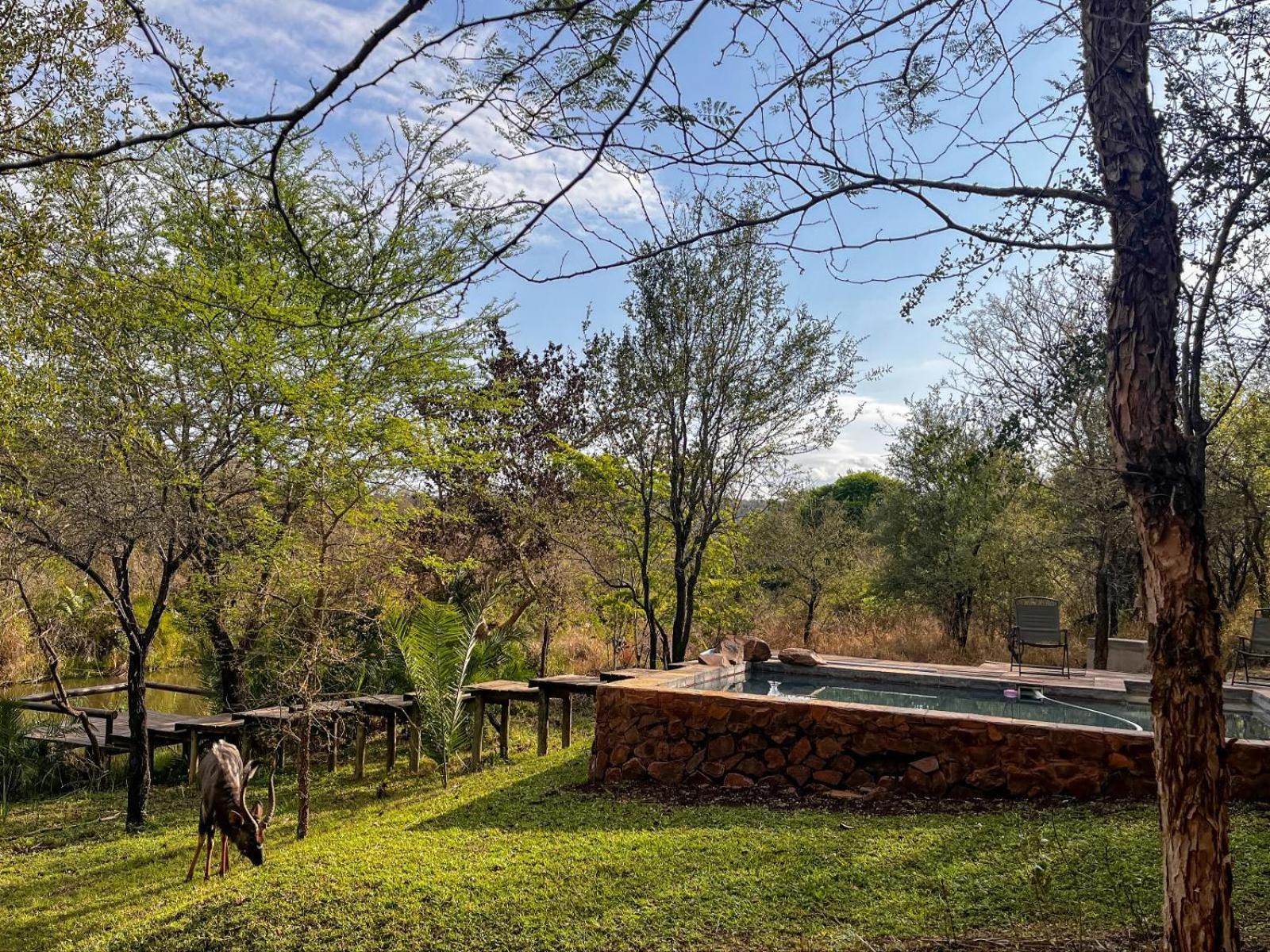 Mbuluzi Game Reserve Simunye Habitación foto