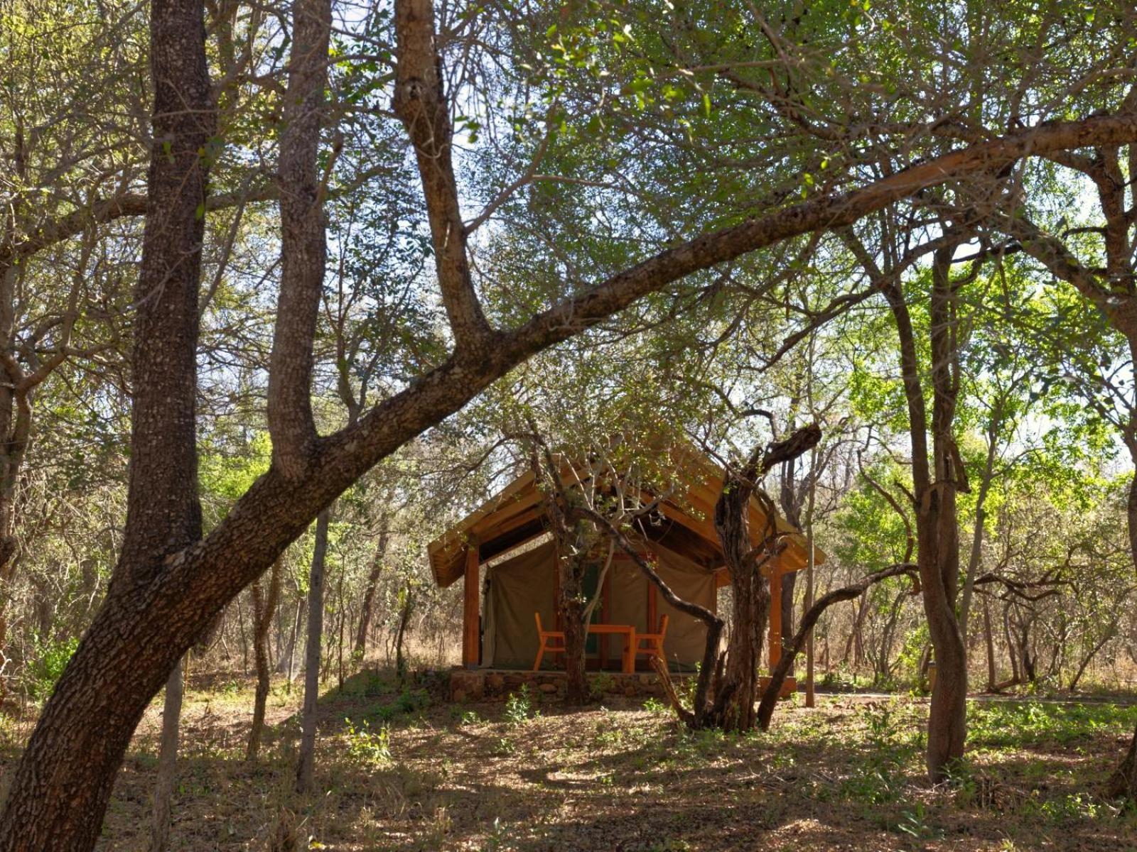 Mbuluzi Game Reserve Simunye Habitación foto